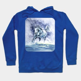 Arabian Horse.  Arabian Sea. Hoodie